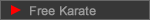 JSKA Free Karate Intro