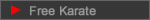 JSKA Free Karate Intro